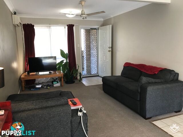 16 Arcadia Street Eight Mile Plains QLD 4113