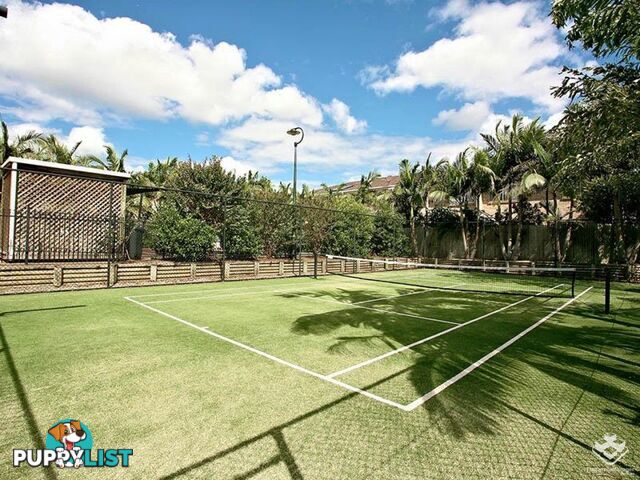 16 Arcadia Street Eight Mile Plains QLD 4113