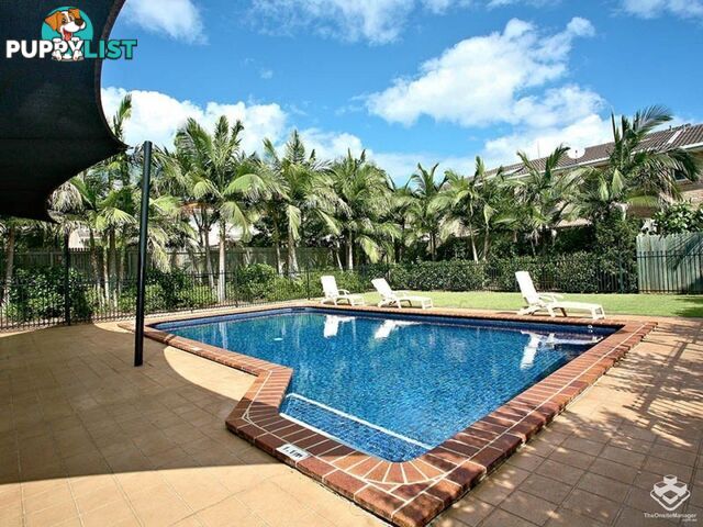 16 Arcadia Street Eight Mile Plains QLD 4113