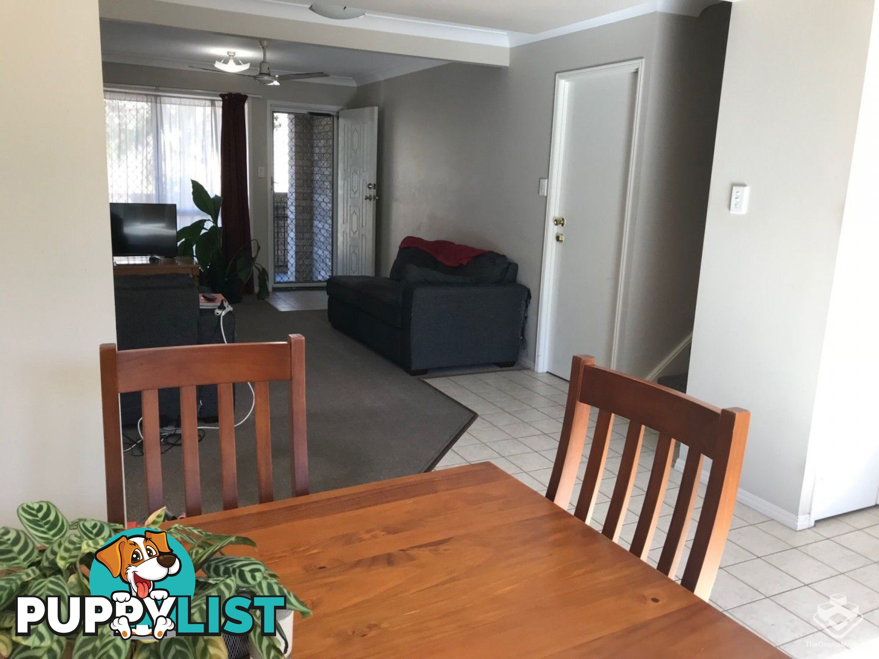 16 Arcadia Street Eight Mile Plains QLD 4113