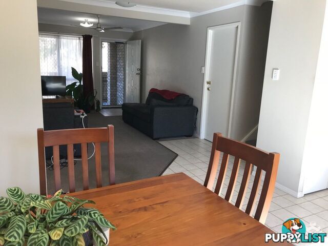 16 Arcadia Street Eight Mile Plains QLD 4113