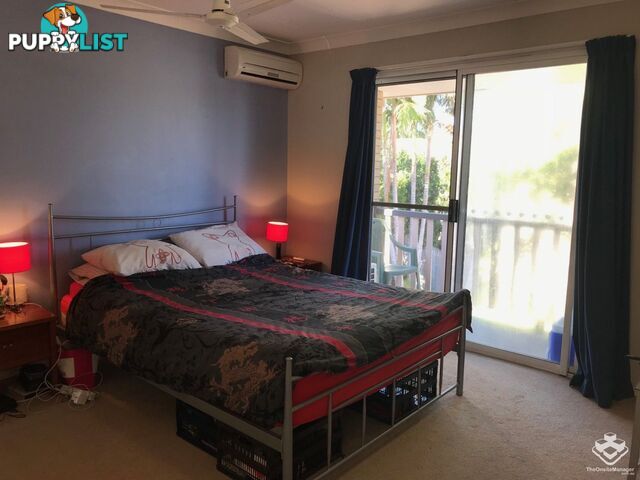 16 Arcadia Street Eight Mile Plains QLD 4113