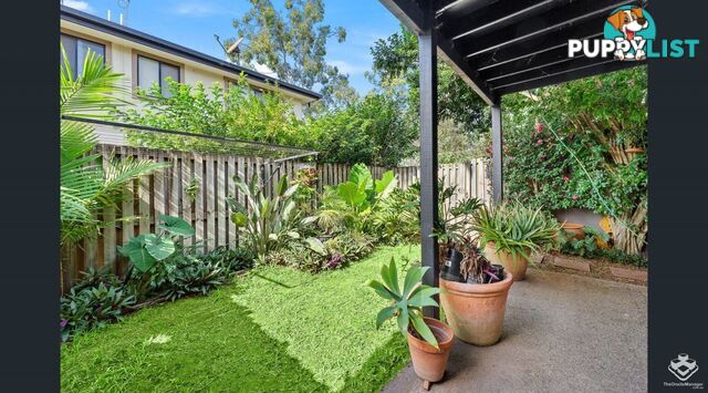 29/228 Gaskell Street Eight Mile Plains QLD 4113
