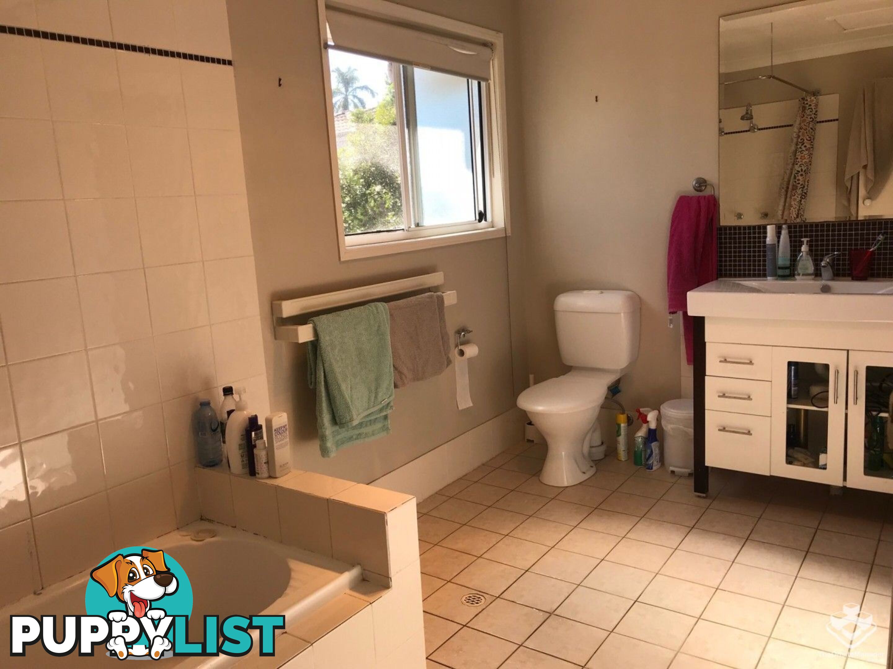 16 Arcadia Street Eight Mile Plains QLD 4113
