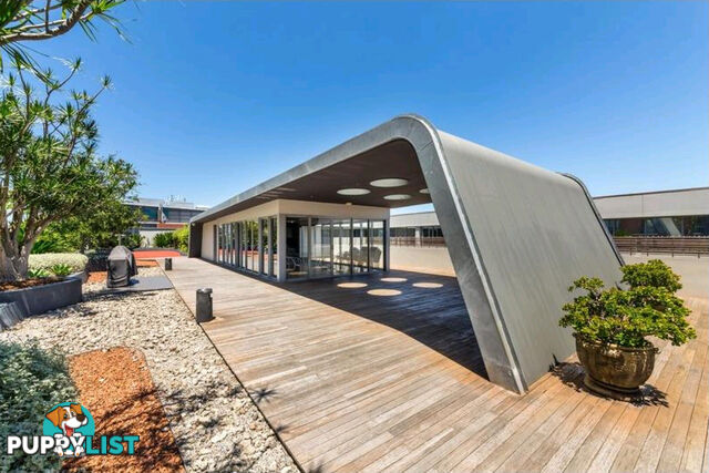 8/380 Harris St Pyrmont NSW 2009