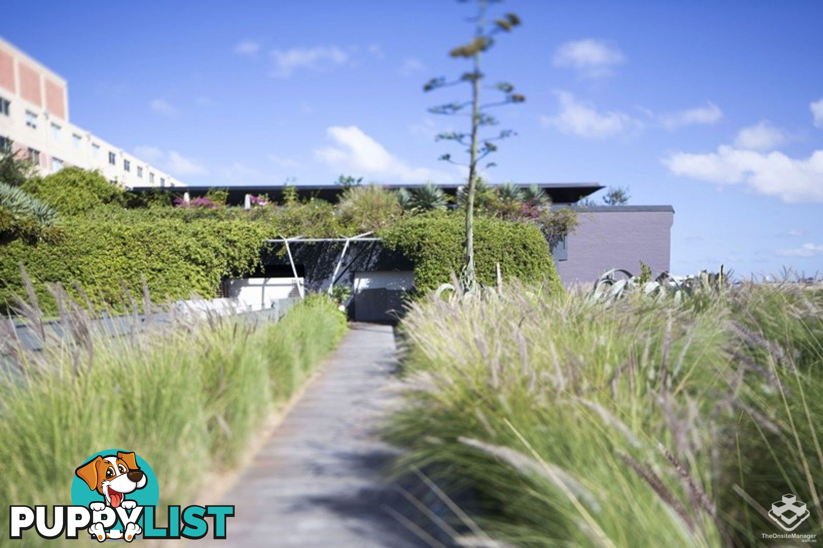 8/380 Harris St Pyrmont NSW 2009