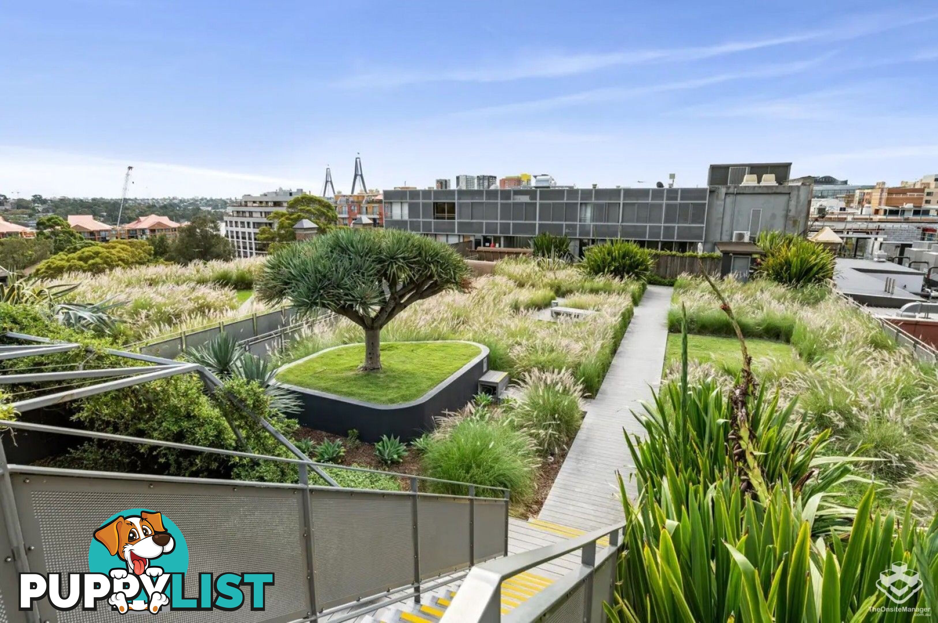 8/380 Harris St Pyrmont NSW 2009