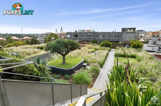 8/380 Harris St Pyrmont NSW 2009