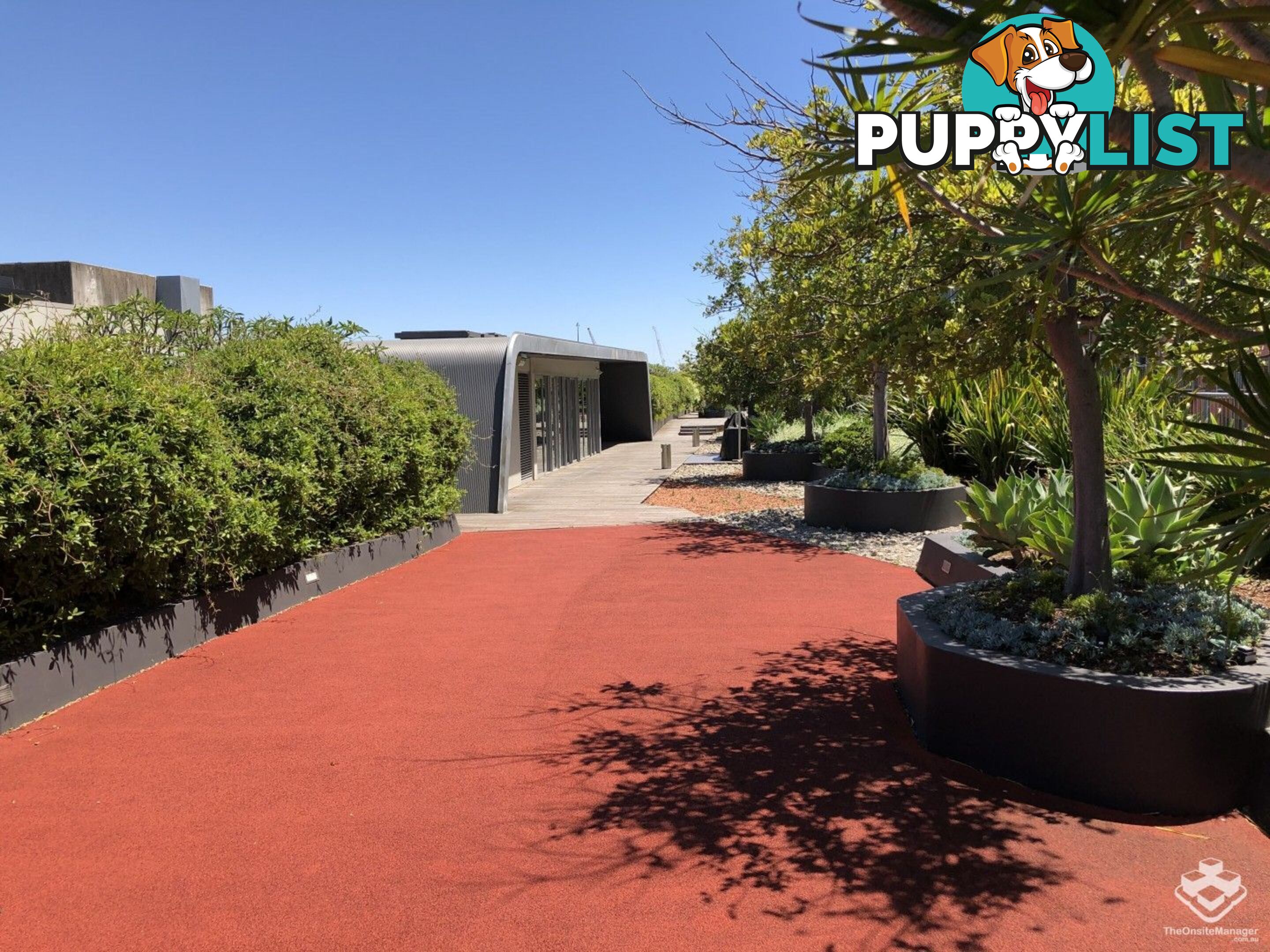 8/380 Harris St Pyrmont NSW 2009