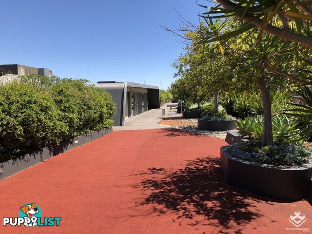 8/380 Harris St Pyrmont NSW 2009