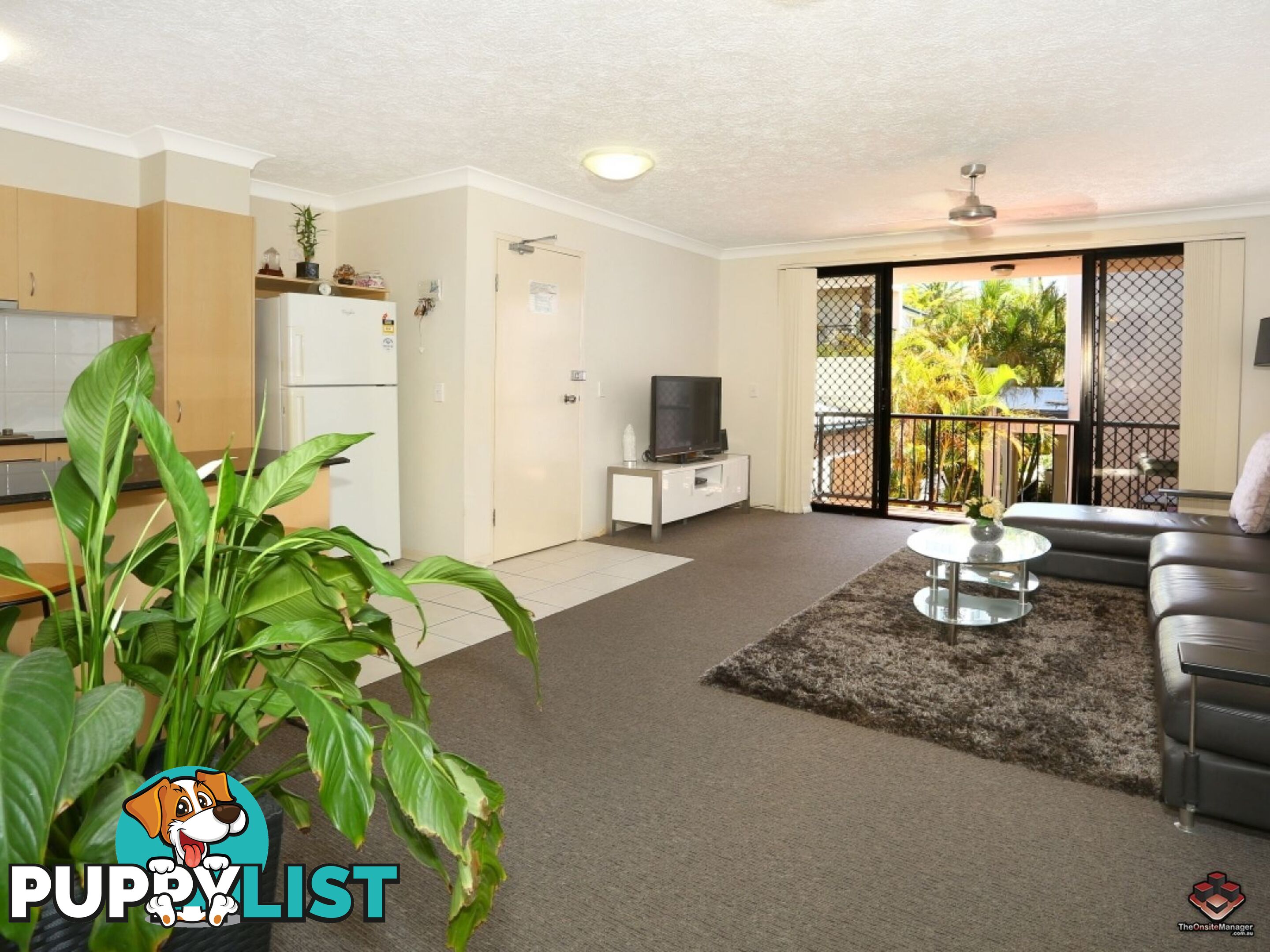 38 Labrador Street Labrador QLD 4215