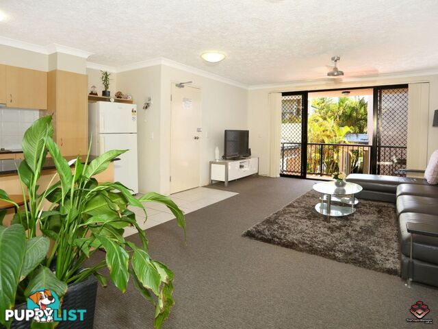 38 Labrador Street Labrador QLD 4215