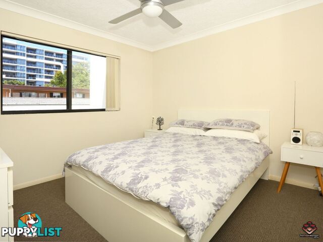 38 Labrador Street Labrador QLD 4215