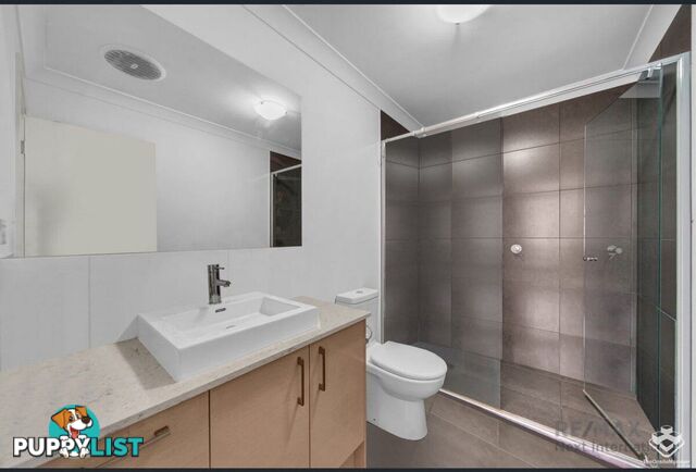 ID:21155168 702 Trouts Road Aspley QLD 4034