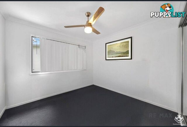 ID:21155168 702 Trouts Road Aspley QLD 4034