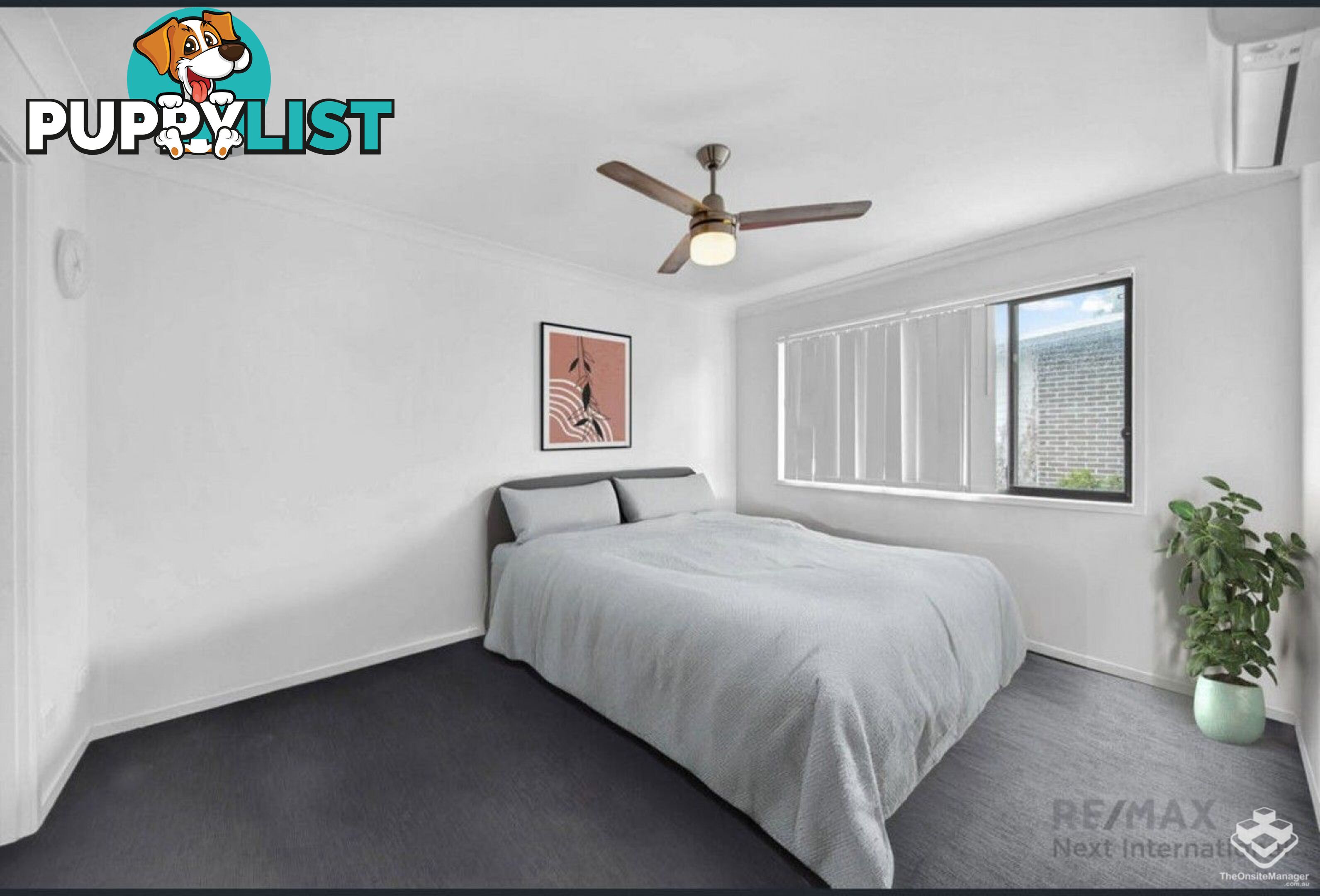 ID:21155168 702 Trouts Road Aspley QLD 4034