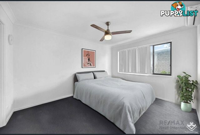 ID:21155168 702 Trouts Road Aspley QLD 4034