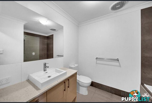 ID:21155168 702 Trouts Road Aspley QLD 4034