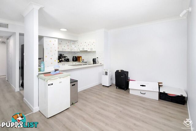 ID:21157484 33 Clark Street Biggera Waters QLD 4216