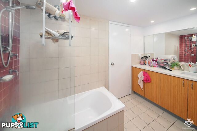 ID:21157484 33 Clark Street Biggera Waters QLD 4216