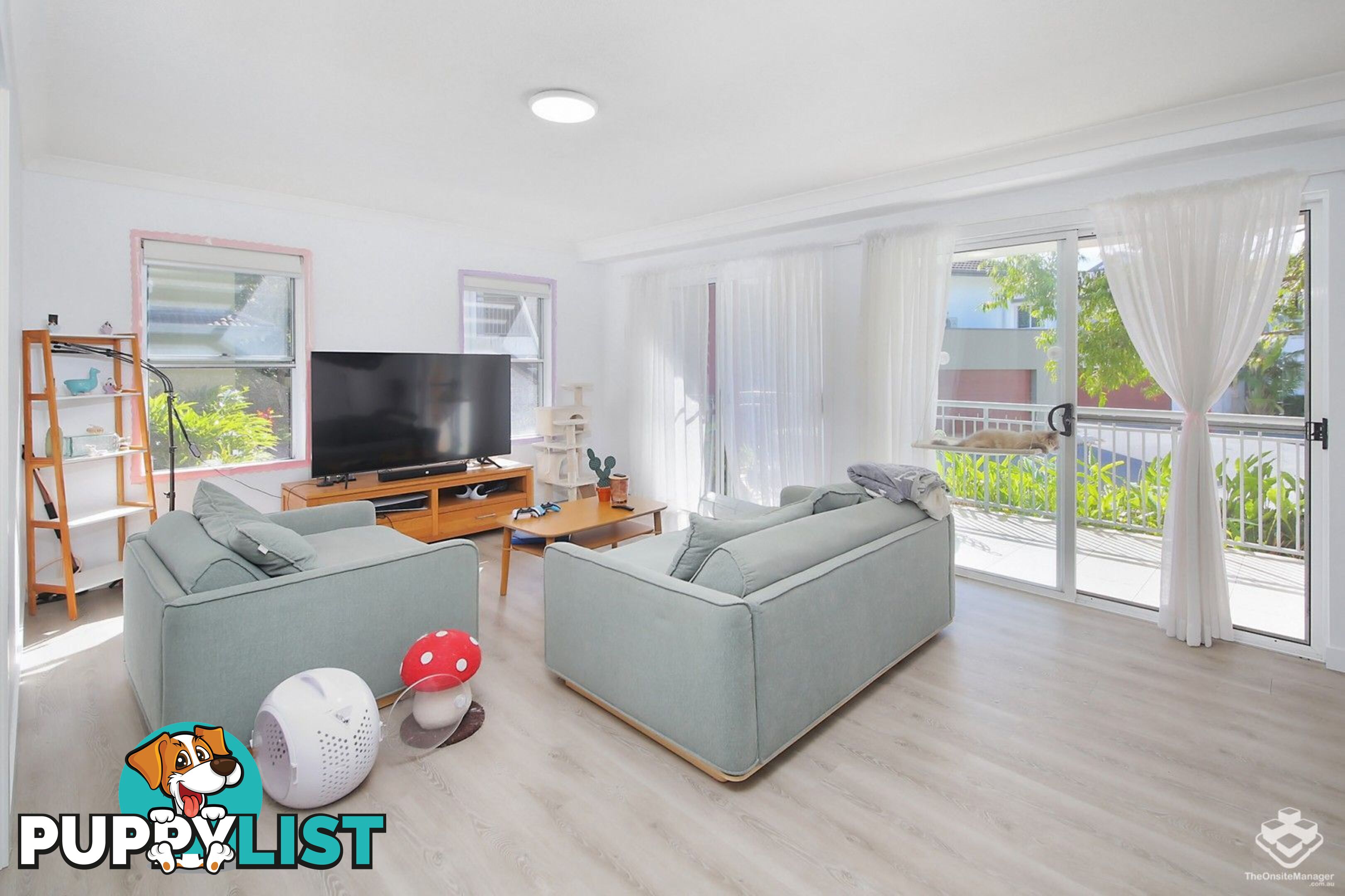 ID:21157484 33 Clark Street Biggera Waters QLD 4216