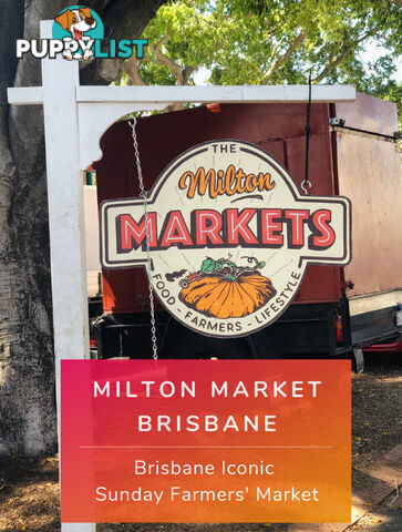ID:21158680 22 Railway Terrace Milton QLD 4064