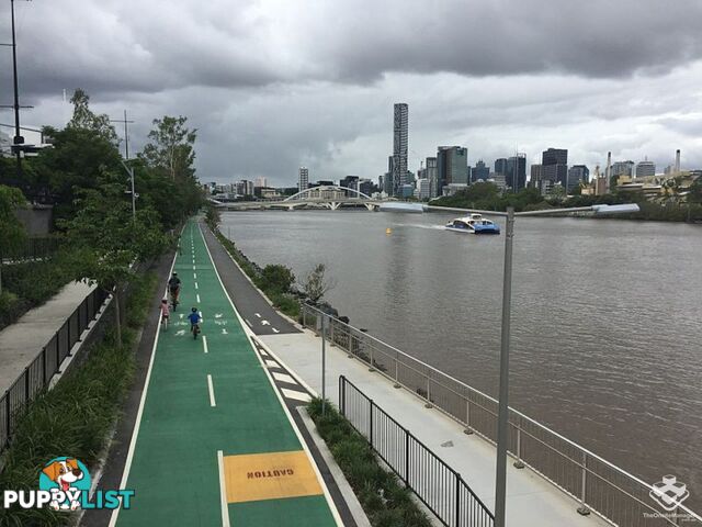ID:21158680 22 Railway Terrace Milton QLD 4064