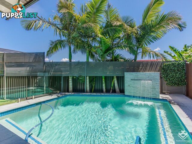 54 Milton Avenue Paradise Point QLD 4216