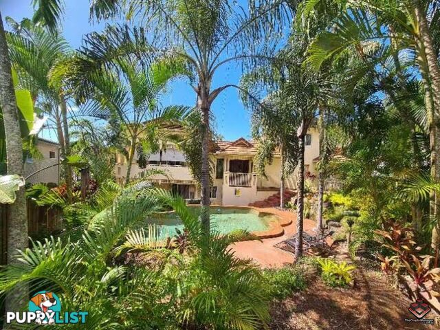 ID:3848210/114-118 Trinity Beach Road Trinity Beach QLD 4879