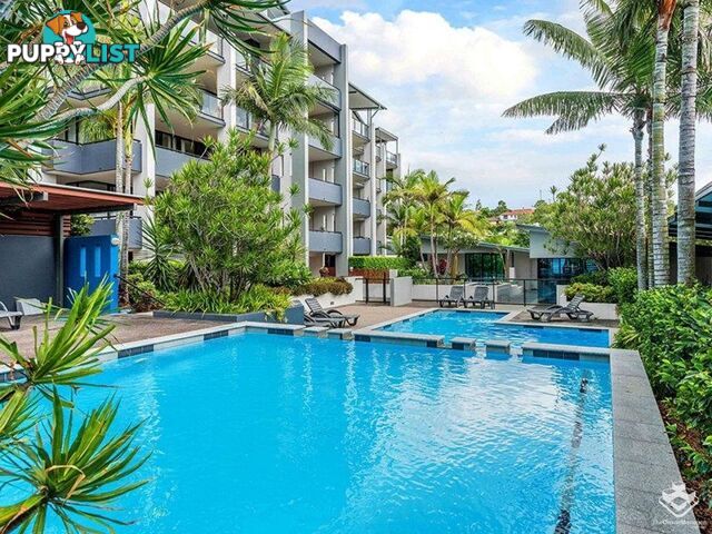 ID:21156432 26 Holland Street Toowong QLD 4066