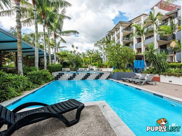 ID:21156432 26 Holland Street Toowong QLD 4066