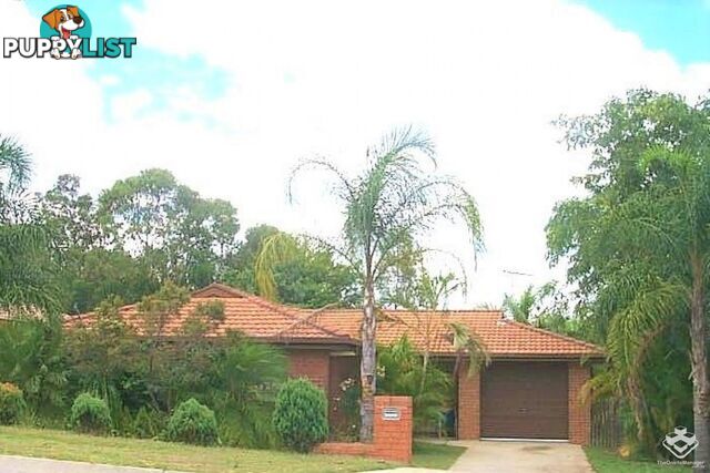 125 Addison Road Camira QLD 4300