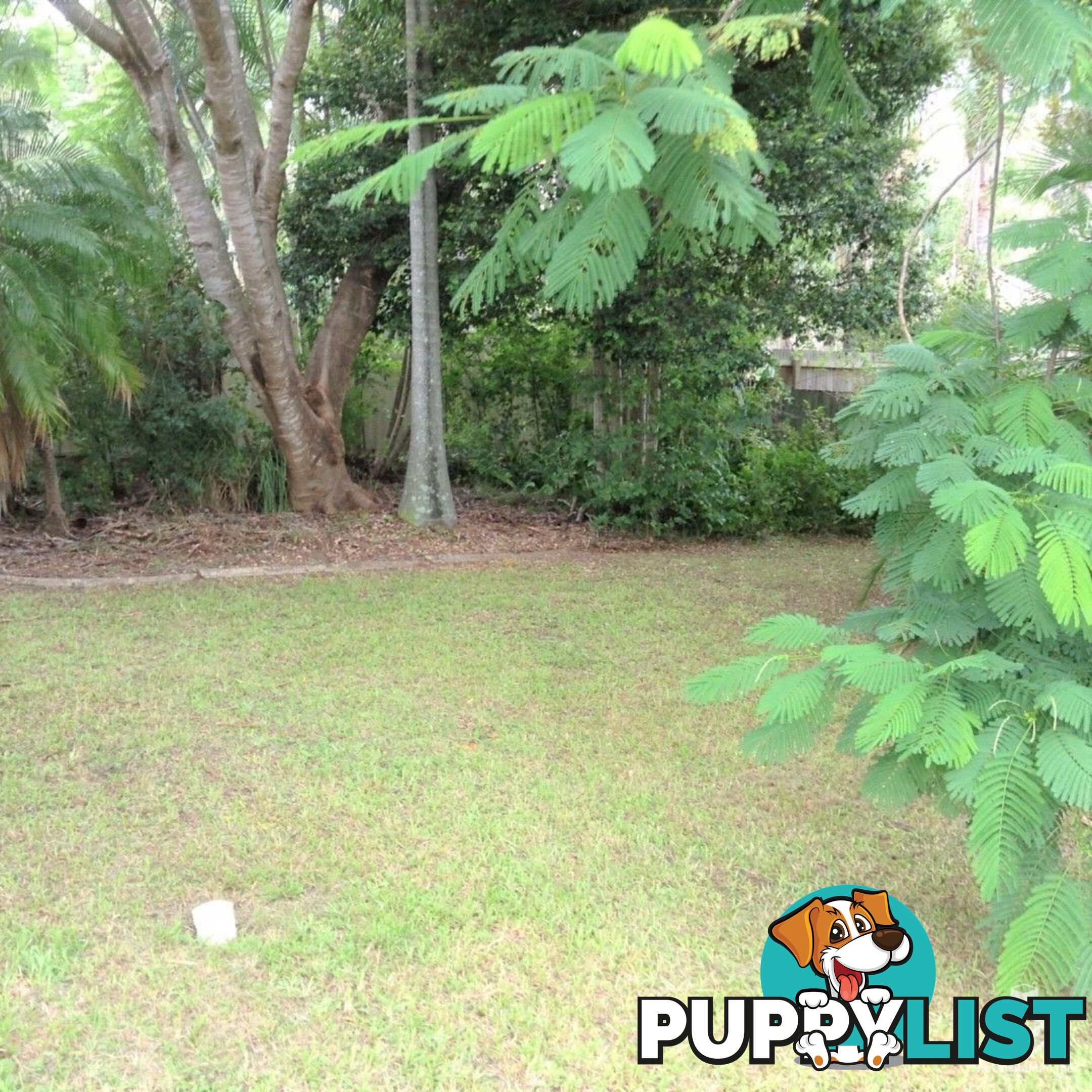 125 Addison Road Camira QLD 4300