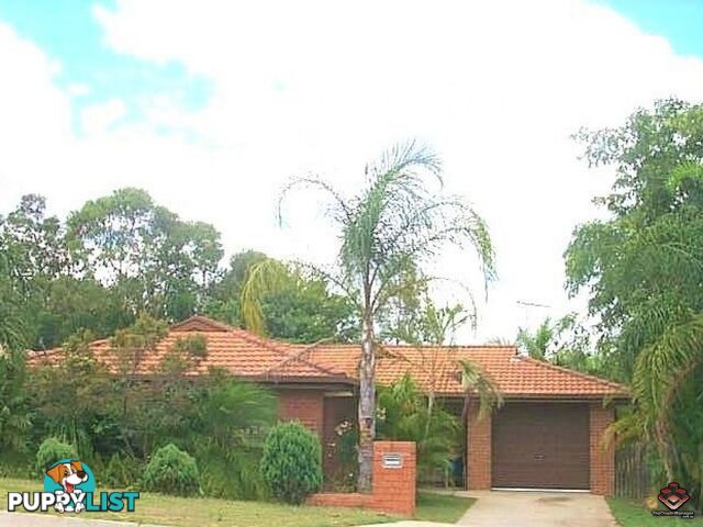 125 Addison Road Camira QLD 4300