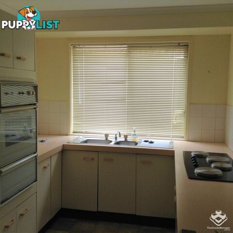 125 Addison Road Camira QLD 4300