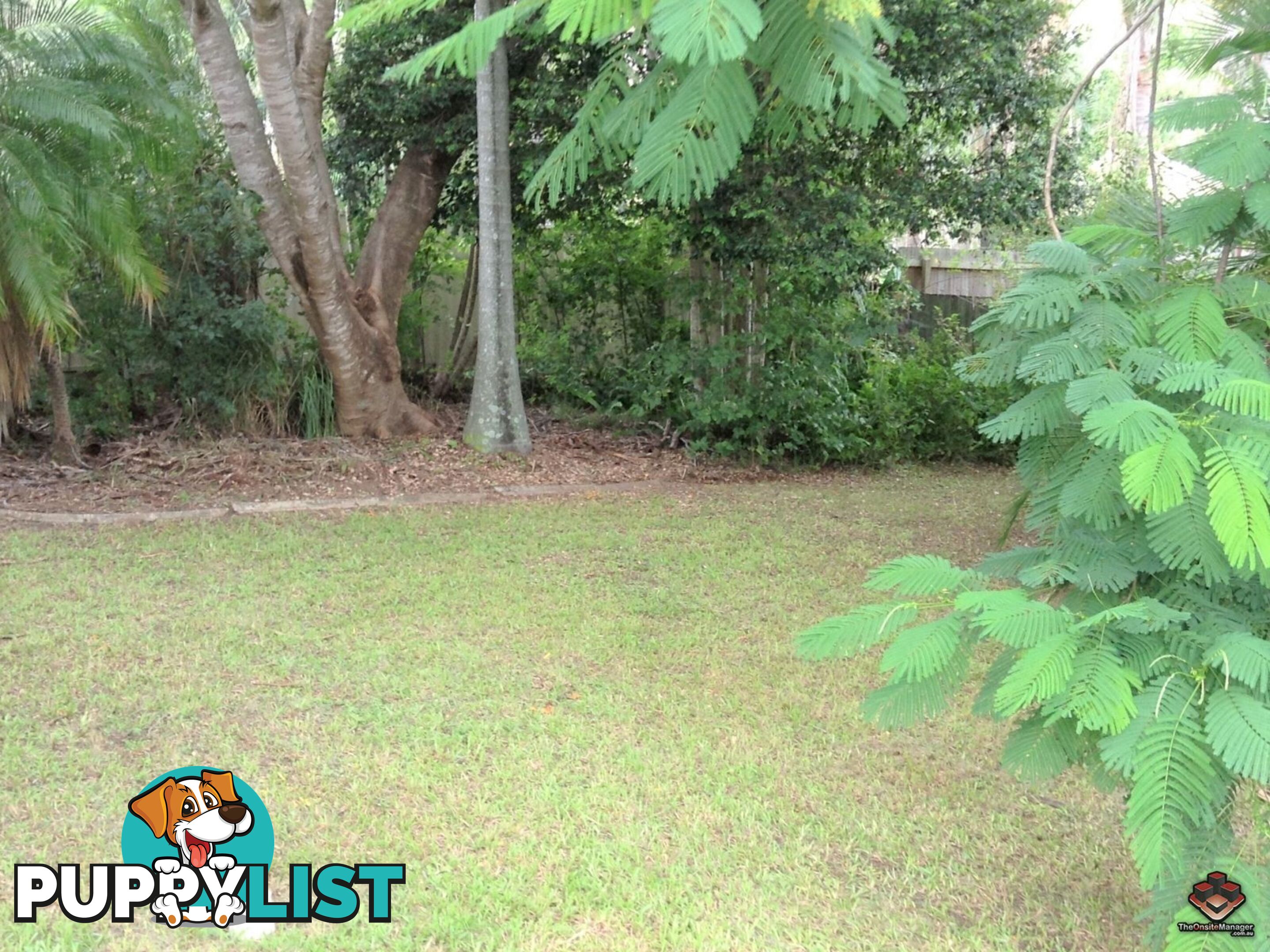 125 Addison Road Camira QLD 4300