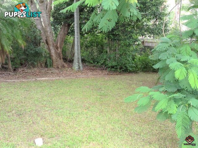 125 Addison Road Camira QLD 4300