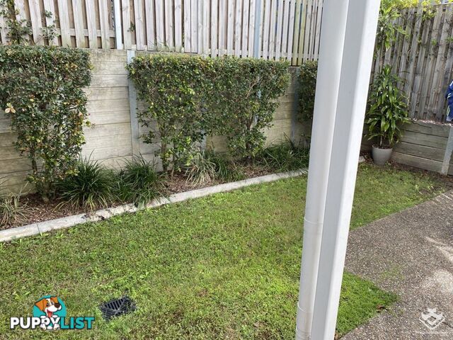29/400 Tingal Road Wynnum QLD 4178
