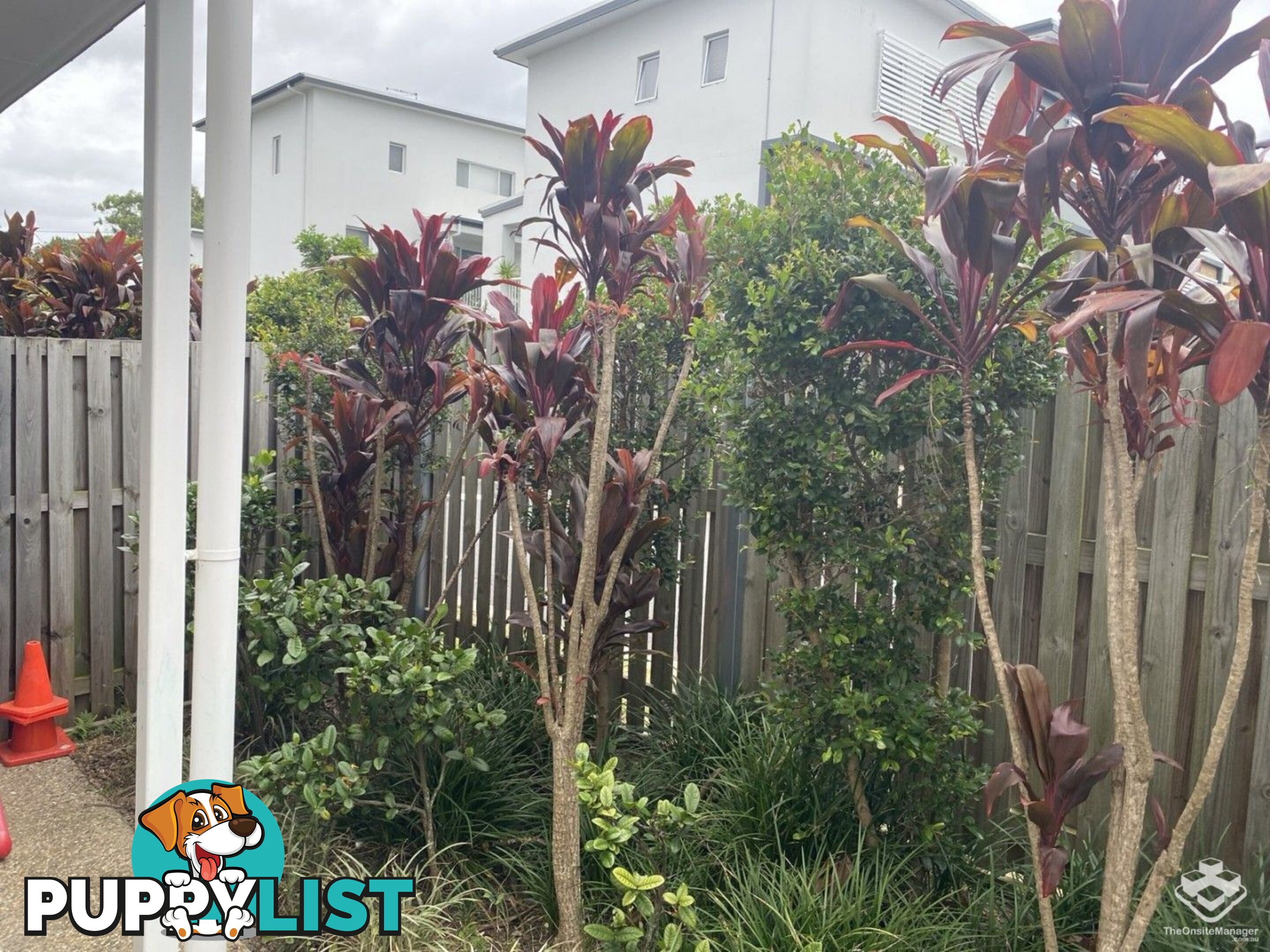 32/400 Tingal Road Wynnum QLD 4178