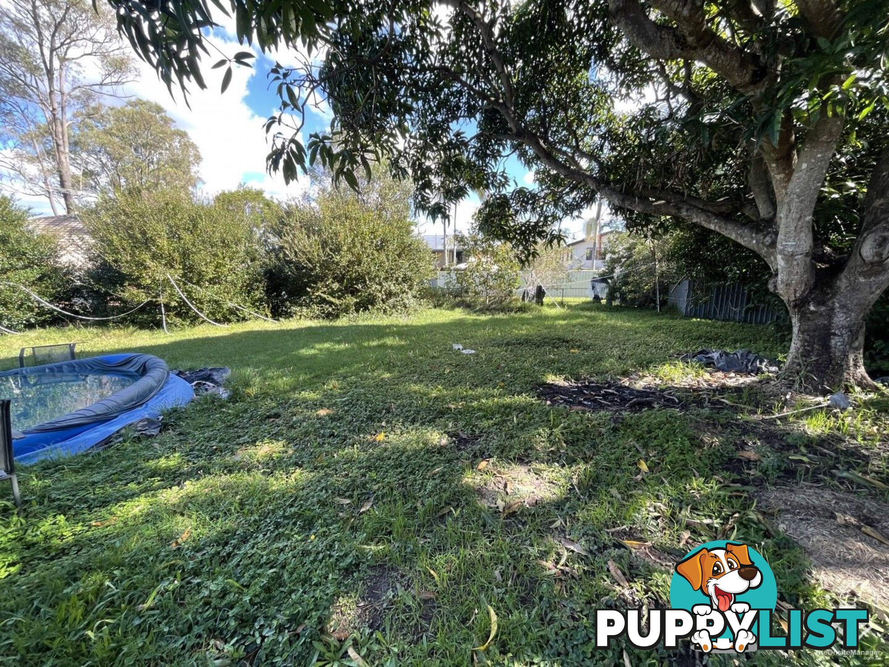 5 Bray Court Eagleby QLD 4207
