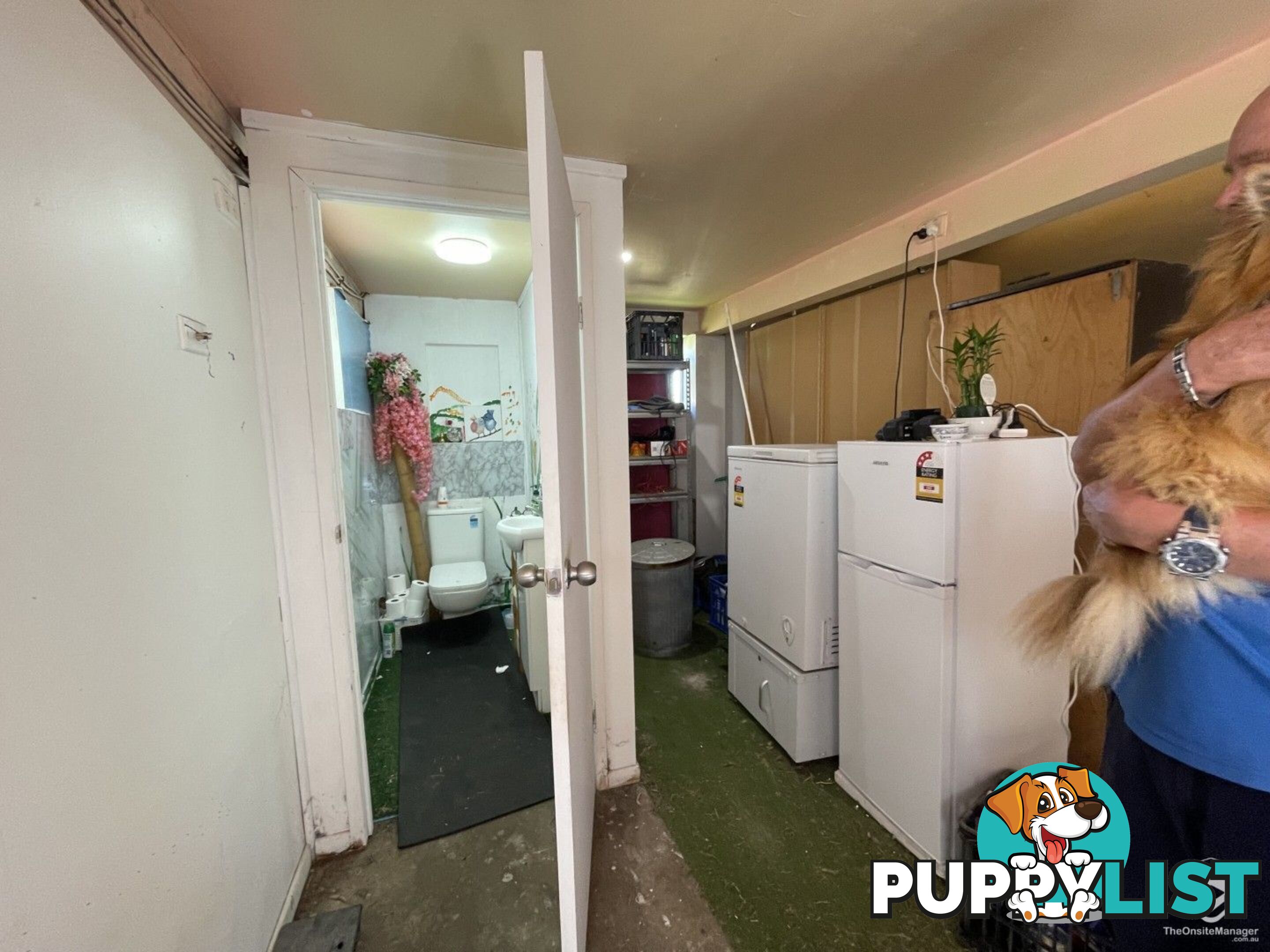 5 Bray Court Eagleby QLD 4207