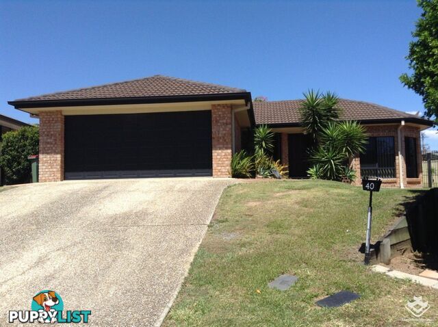 ID:3890406/40 Sandy Creek Avenue Camira QLD 4300