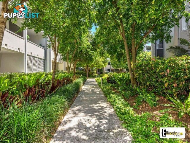 ID:21143809/71 Beeston Street Teneriffe QLD 4005