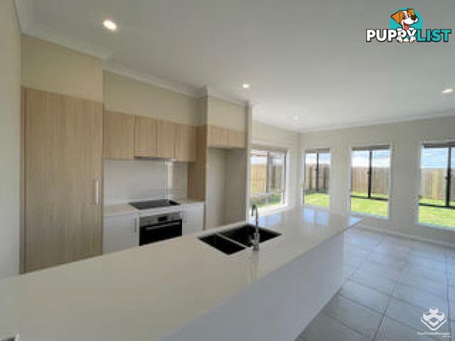 2 Tulip Wood Street Griffin QLD 4503