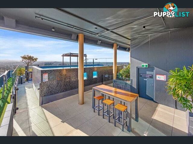 2303/365 Saint Pauls Terrace Fortitude Valley QLD 4006