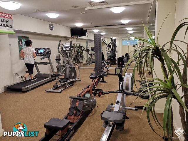 ID:21157966 14 Brown Street Chatswood NSW 2067