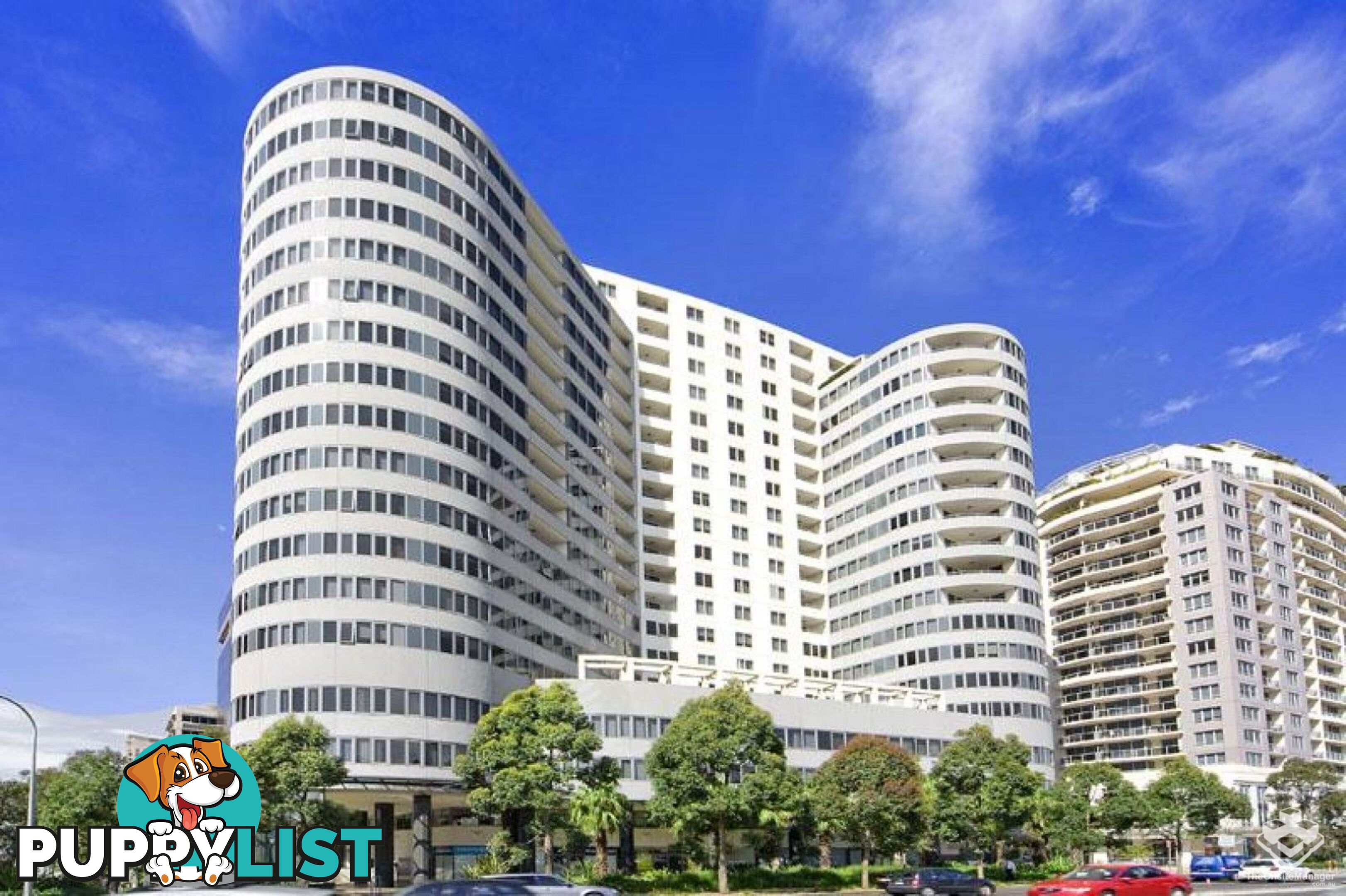 ID:21157966 14 Brown Street Chatswood NSW 2067