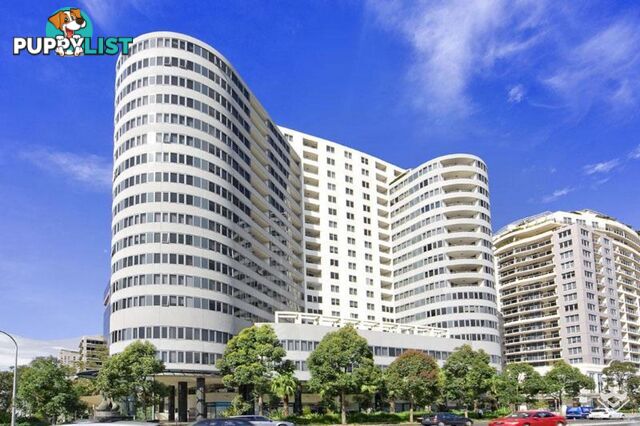 ID:21157966 14 Brown Street Chatswood NSW 2067