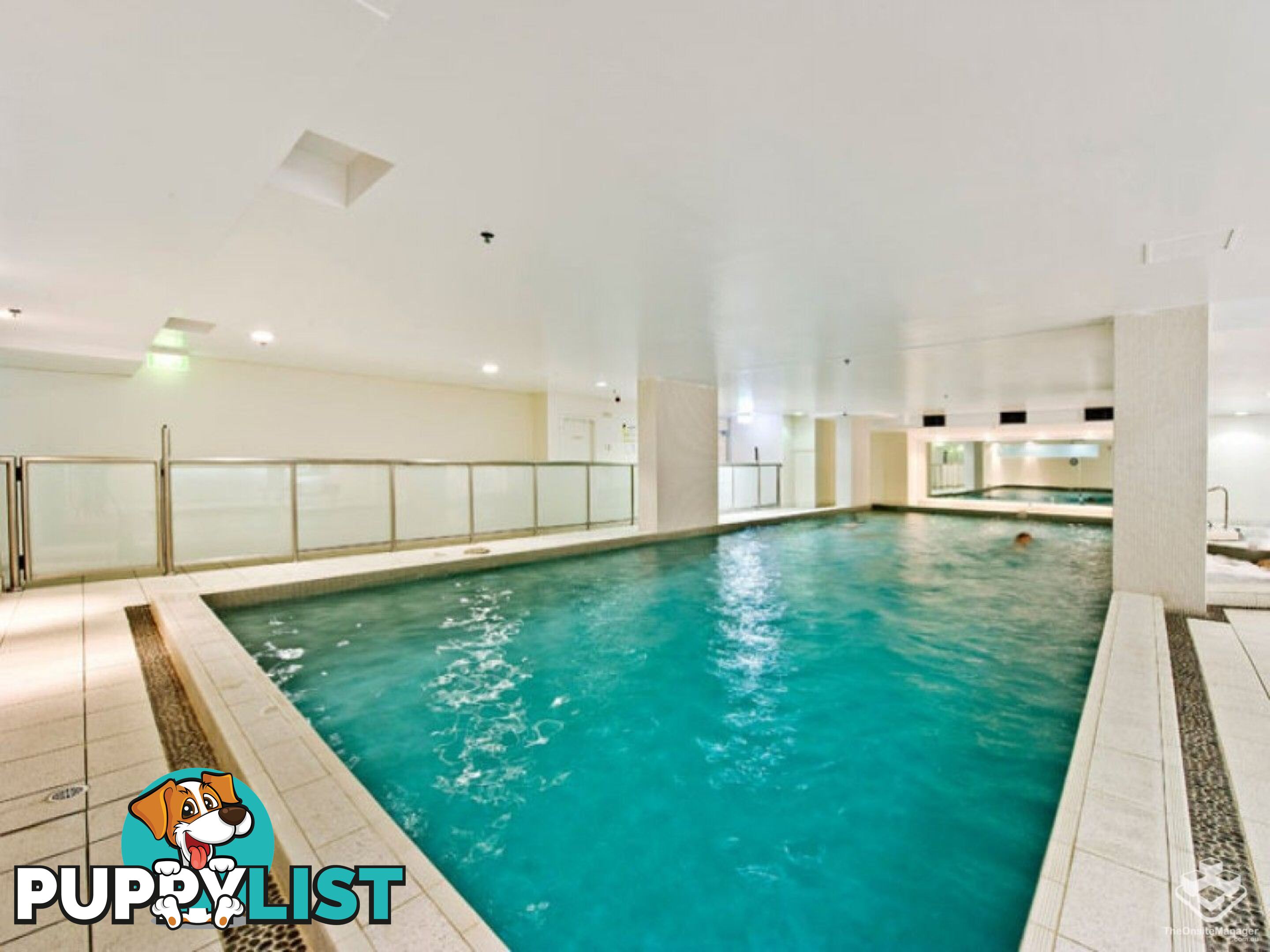 ID:21157966 14 Brown Street Chatswood NSW 2067