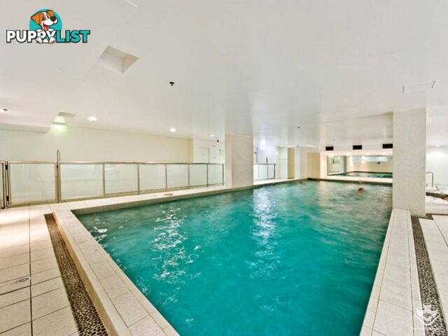 ID:21157966 14 Brown Street Chatswood NSW 2067